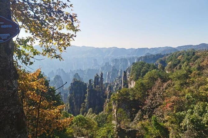 Private Zhangjiajie National Forest Park Day Tour - Additional Details on the Tour