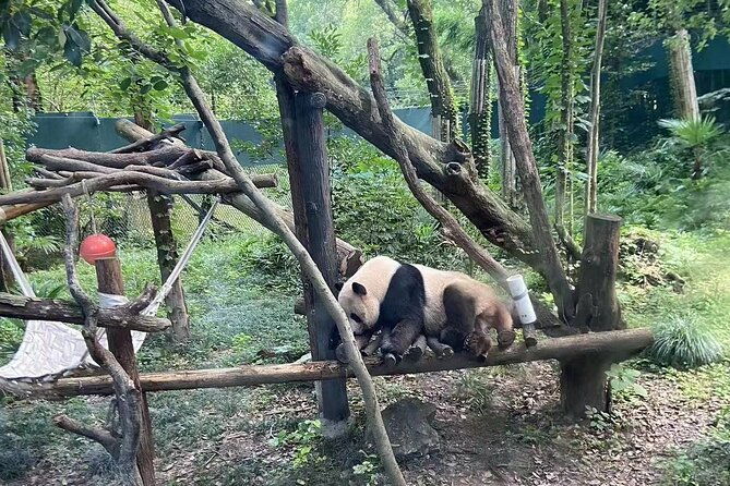 Private Zhujiajiao Water Town Tour with Shanghai Zoo and Panda - Benefits of This Tour