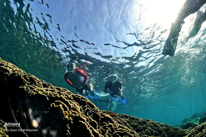 PRO-SNORKELING to Explore Hidden Coral Reefs (MAX 12 PAX) - An Introduction to the PRO-SNORKELING Tour in Phu Quoc