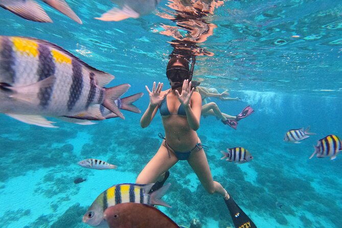 Public Snorkeling 3 Islands - What’s Included and What to Bring