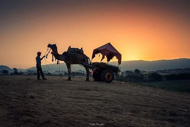 Rajasthan Heritage Tour - The Itinerary Breakdown