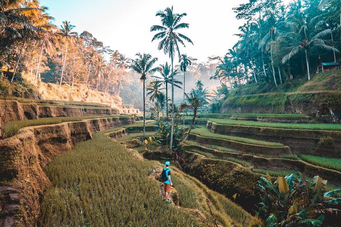Real Ubud Private Customised Tour By Local Guides - Authenticity and Local Guides: Why It Matters