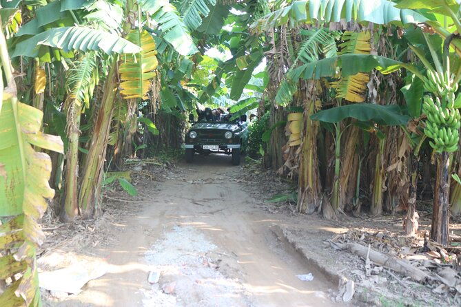 Red River Delta Countryside+ Rural Villages, rice Paddies fields - Authentic Experiences and Highlights