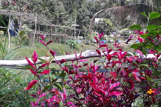RED RIVER TOUR (Private Tour): LAND ISLAND TOUR AROUND THE SOUTH - Authentic Insights from Reviewers