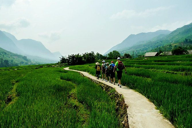 Rice Terraced Fields & Homestay Experience 2D 1N - Practical Details: What to Expect