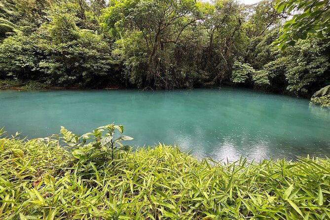 Rio Celeste Waterfall Plus Sloths and wildlife Sanctuary - Wildlife Sanctuary: Sloths, Toucans, and Frogs Galore