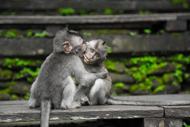 River Rafting Down the Ayung and Sacred Monkey Forest - Stop 1: Ayung River Rafting