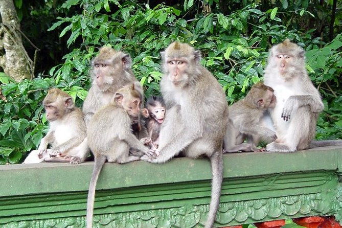 Royal Family Temple, Monkey Forest, and Tanah Lot Sunset Tour - Final Thoughts