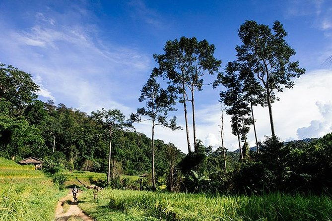 Rural Explorer Mountain Biking Tour Chiang Mai - Who Should Consider This Tour?