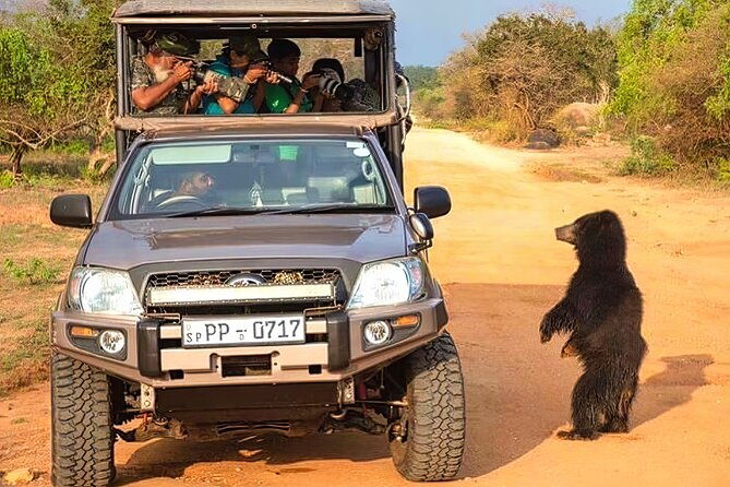 Safari Expedition's in Wild Wonders of Yala - Transportation and Group Size