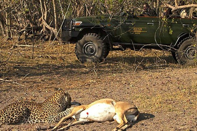 Safari In Jhalana Leopard Conservation Reserve, Jaipur - Evaluating the Value: Is It Worth It?
