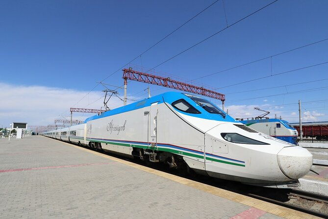 Samarkand One Day Private Tour from Tashkent with Bullet Train - Value and Practical Considerations