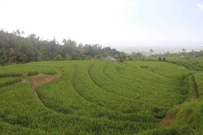 Sambangan Trekking, Sliding, Jumping in Scenic Waterfalls - Who Will Love This Tour?