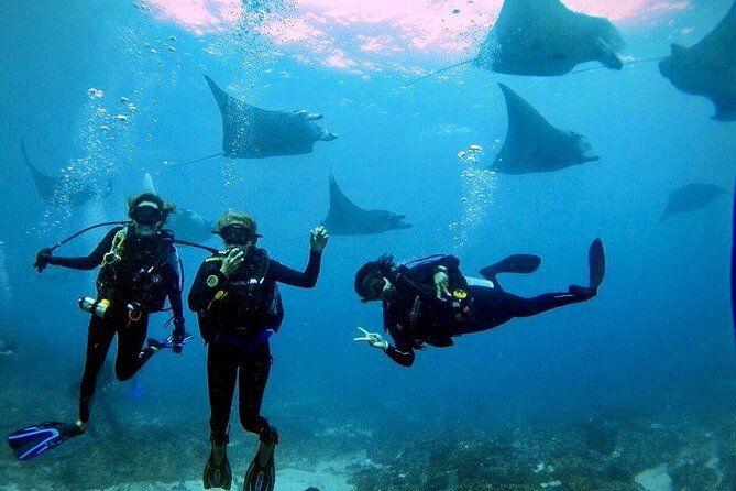 Sanur Open Water Course learn diving in 3 Days - Get certified & Dive everywhere - The Practical Details: What’s Included and What’s Not