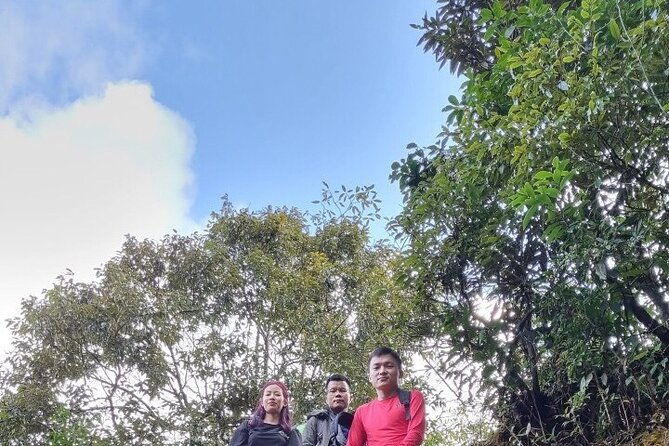 Sapa 1 day trek with local guide to the village by Comlam - The Landscape and Views: Why Youll Love the Scenery