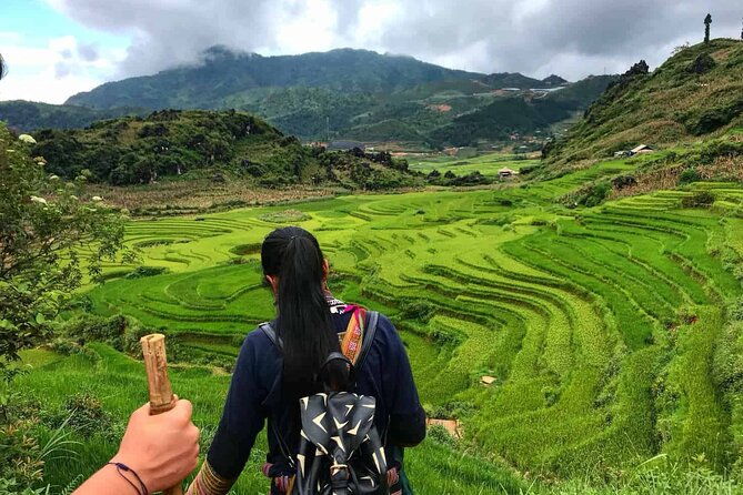 Sapa 1 Day Trekking - What Past Travelers Say