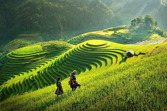 Sapa 2 Days 1 Night Bac Ha Market Tour (Overnight In Hotel) - The Sapa Night: Local Flavors and Cultural Vibe