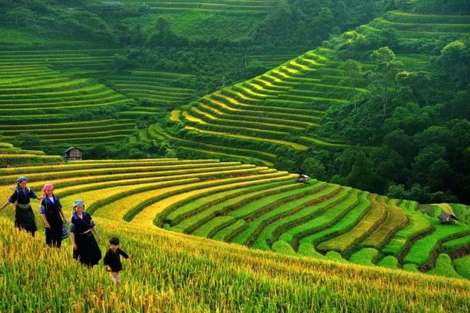 Sapa 3 days 2 nights ( 01 night in hotel, 01 night in homestay) - What Reviewers Highlight Most