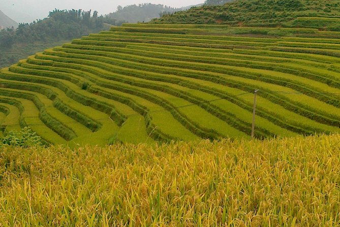 Sapa tours - Authentic Experiences Highlighted by Reviewers