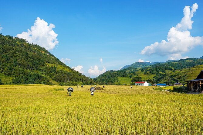 Sapa Trekking & Homestay 2 Days 1 Night - The Real Talk: Pros and Cons