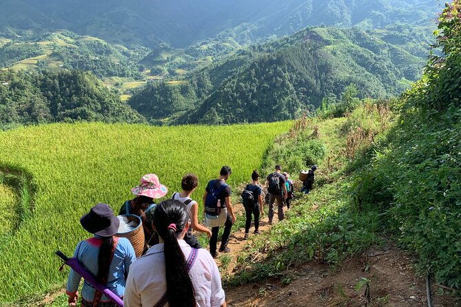 Sapa Trekking Tour 2 Days 1 Night By Bus - The Real Deal: What Travelers Say