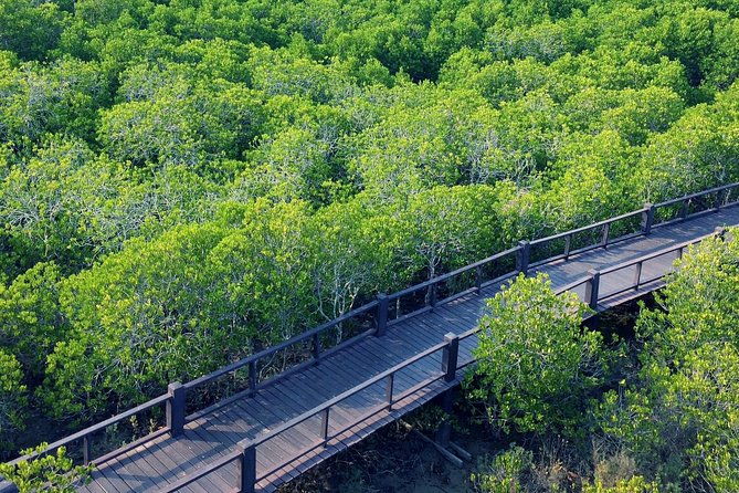 Scenic River Trip on the Pranburi River - A Closer Look at the Itinerary