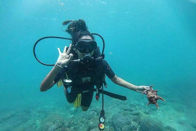 Scuba Diving at Unawatuna - The Dive Sites and Marine Highlights