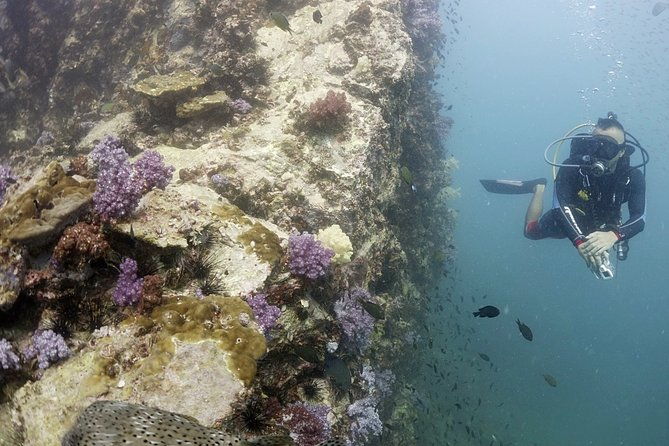 Scuba Diving in Phuket  Full-Day Trip (3 Dives, All Included) - Final Thoughts: Is It Worth It?