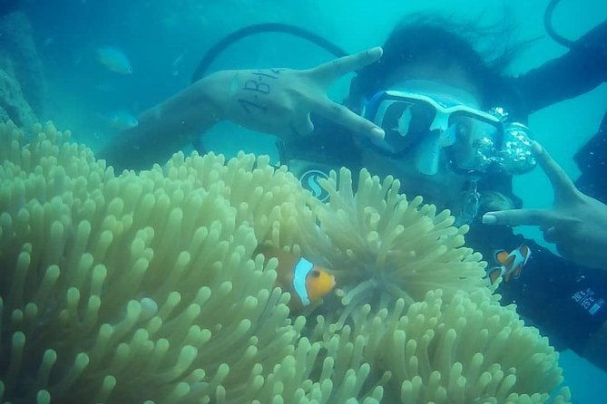 Scuba Diving (shore Dive) at Havelock Islands - The Value of This Experience