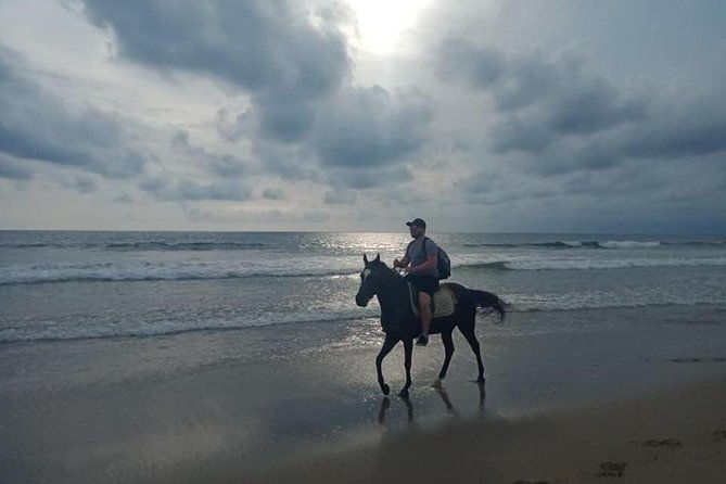 Seminyak Beach Horse Riding in the most beautyfull beach In bali - Who Is This Tour Best For?
