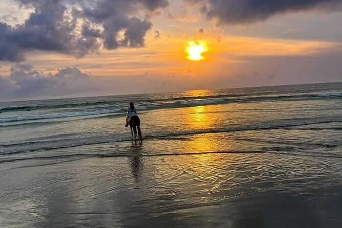 Seminyak beach Private Bali Horse Riding - Practical Tips for Your Ride