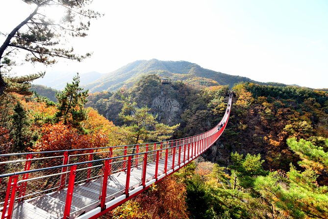 Seoul DMZ Tour with 3rd Tunnel and Red Suspension Bridge - A Deep Dive into the DMZ Tour