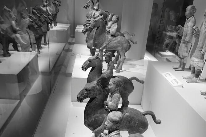 Shaanxi History Museum Qin-Han Division English guide service - What Makes the Shaanxi History Museum Qin-Han Division Stand Out?