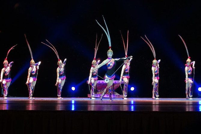 Shanghai Acrobatic Show Ticket with Private Transfer - Convenience and Service Quality