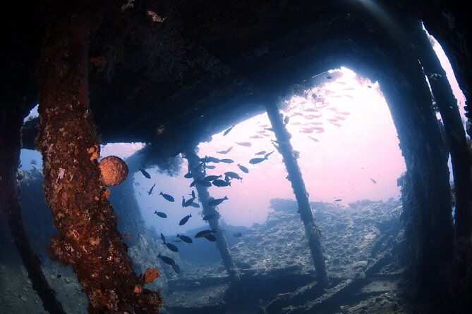 Shipwreck Diving in Tulamben - What You Need to Know About the Experience