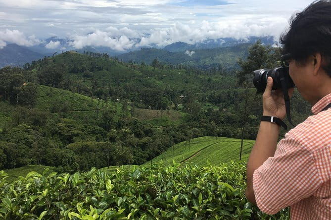 Sightseeing tour Ella & Diyaluma waterfall by car - What Makes This Tour Stand Out?