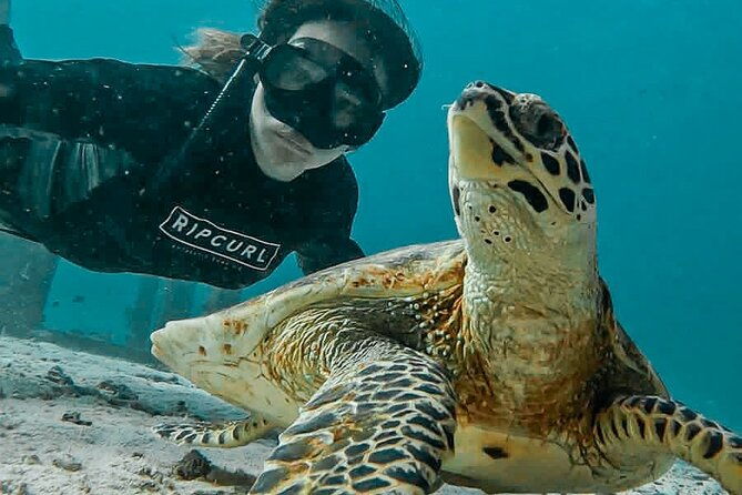 Similan Islands Private Tour - Itinerary Breakdown: What to Expect