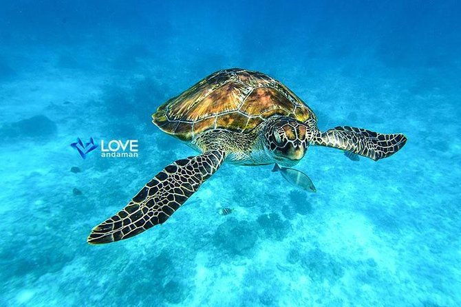 Similan Islands Snorkeling Day Trip By Love Andaman From Khao Lak - Who Would Love This Tour?
