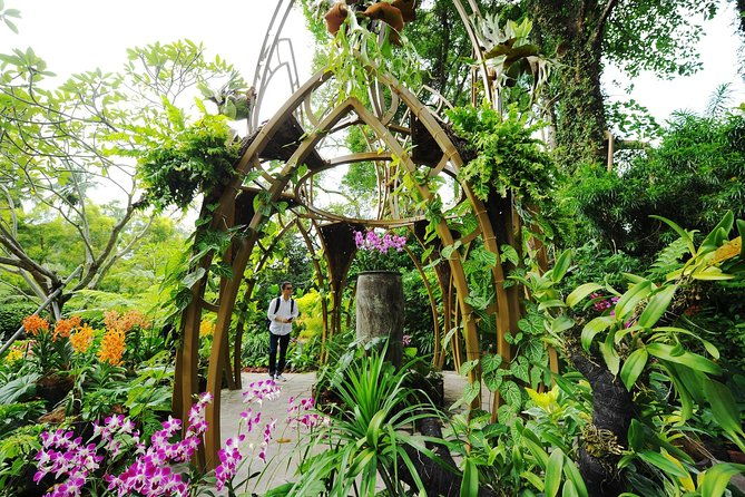 Singapore: National Orchid Garden Admission Ticket - A Detailed Breakdown of the Itinerary
