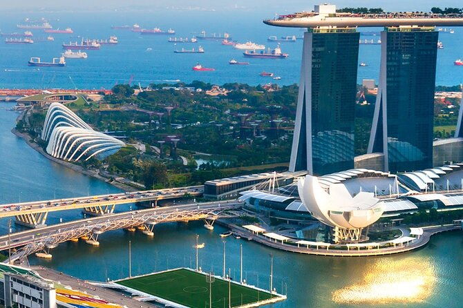 Singapore Panoramic Sightseeing Private Tour with River Cruise - Who Will Love This Tour?