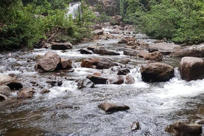 Sinharaja RainForest Private Full Day Tour - Who Should Consider This Tour?