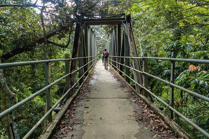 Sinharaja Rainforest Private Half Day Tour with Licensed Guide - What We Loved About the Tour