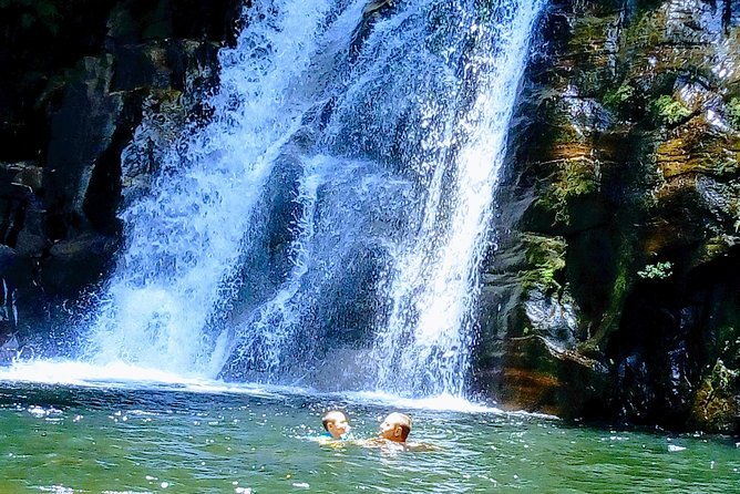 Sinharaja Rainforest Tour - What to Expect from the Guides