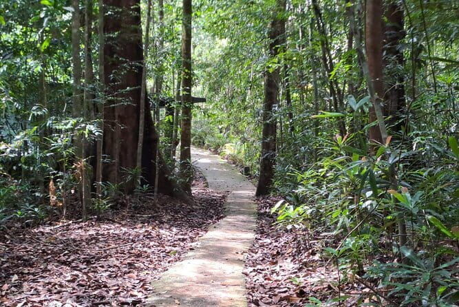 Sinharaja Rainforest Trip - What Makes This Tour Stand Out?