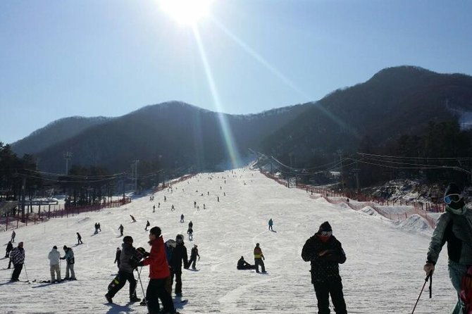 Ski Tour to Jisan Ski Resort from Seoul - Authentic Insights from Reviewers