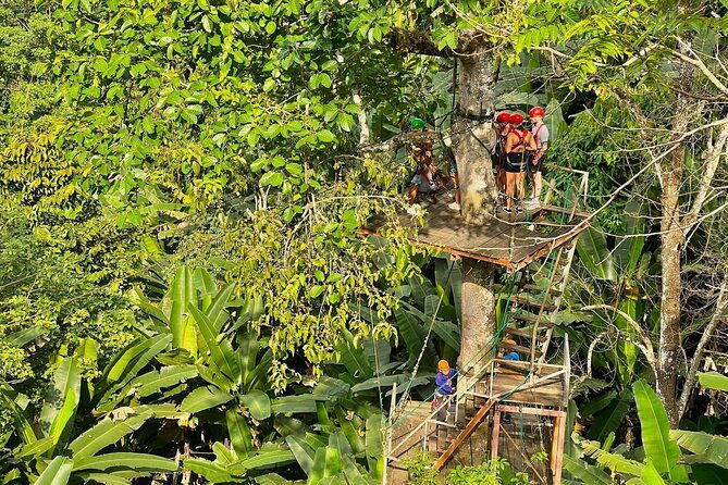 Sky Hawk Zipline Experience in Chiang Mai - Additional Activities: Abseiling and Sky Bridges