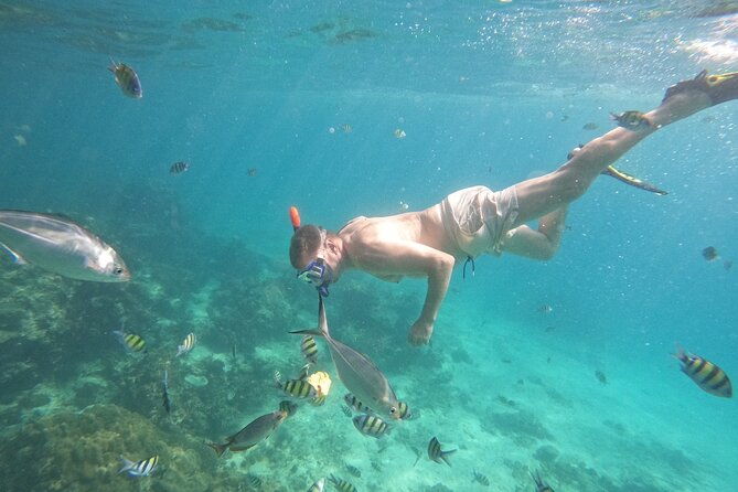 Small Group Phi Phi Islands Sunrise Tour with Seaview Lunch - The Value of This Tour