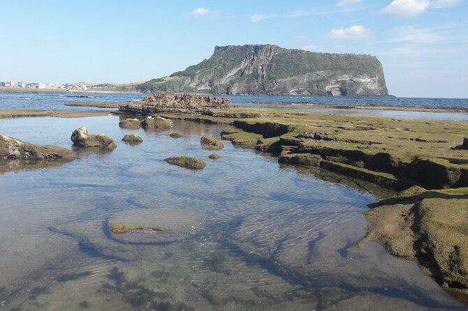 Small group Private Taxi Tour DAY experience in Jeju island - Authentic Experiences Gained from the Tour