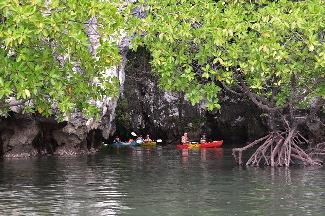 Small-Group Sea Kayaking in Ao Thalane Bay and Hong Island from Krabi - The Itinerary Breakdown: What to Expect