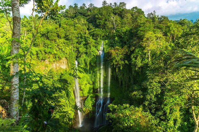 Small-Group Sekumpul Waterfall Jungle Trek with Lunch - Practical Details: What You Need to Know